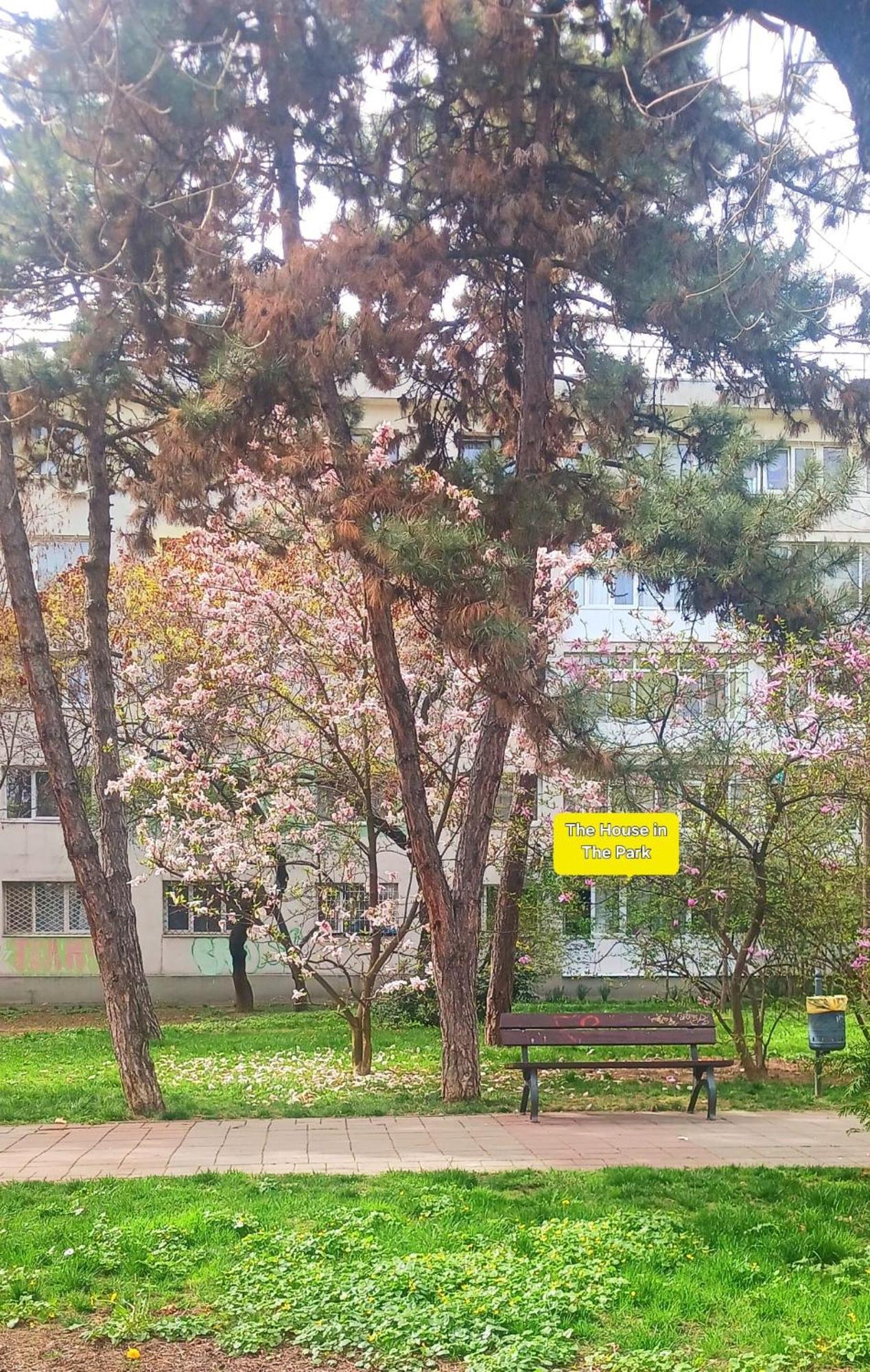The House In The Park Bucharest Lägenhet Exteriör bild